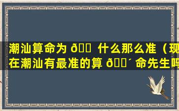 潮汕算命为 🐠 什么那么准（现在潮汕有最准的算 🌴 命先生吗）